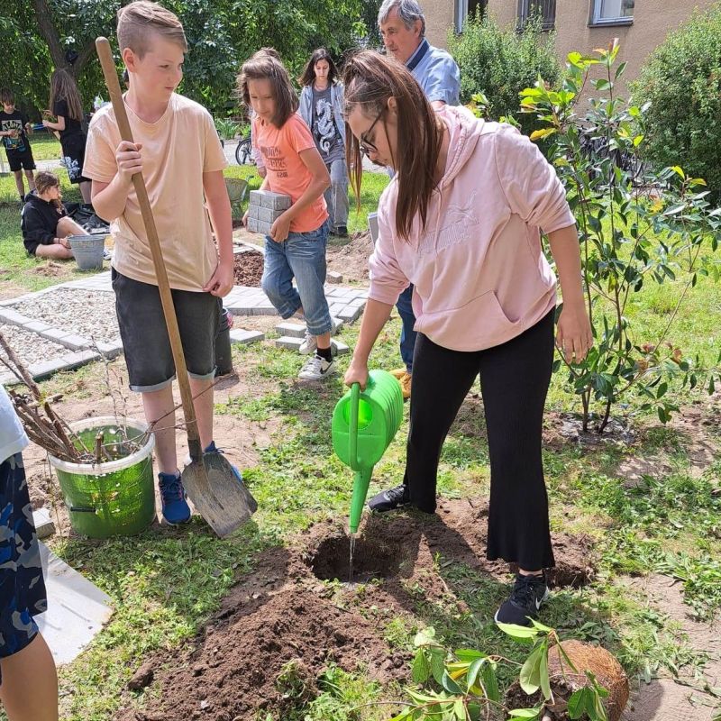 Projekt: 2021 Klimatická ulička, 2022 Dôstojnosť, 2023 Zelený amfiteáter